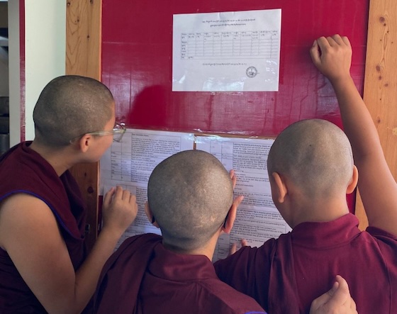 Tibetan Buddhist nuns reading messages of support for the 2025 Geshema exams