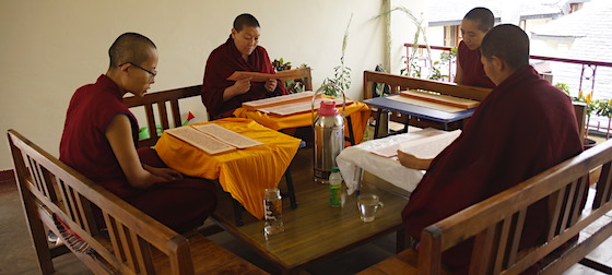 Tibetan Buddhist nuns reading the kangyur for Saga Dawa