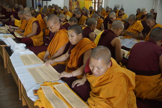Saga Dawa, Saga Dawa Duchen, Tibetan Buddhist nuns reading the words of the Buddha for Saga Dawa