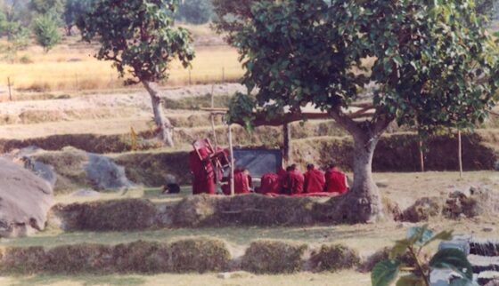 Tibetan Buddhist nuns studying outdoors no classrooms