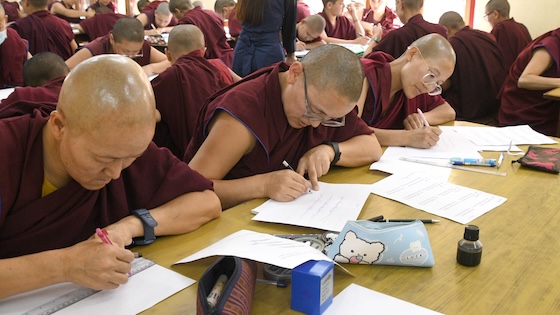 Tibetan Buddhist nuns studying