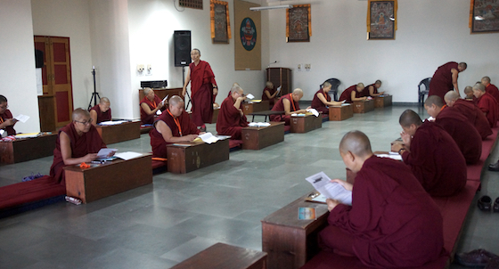 good luck messages to nuns, Geshema, Geshema exams, Tibetan Buddhist nun, Tibetan Buddhism, Tibetan Nuns Project