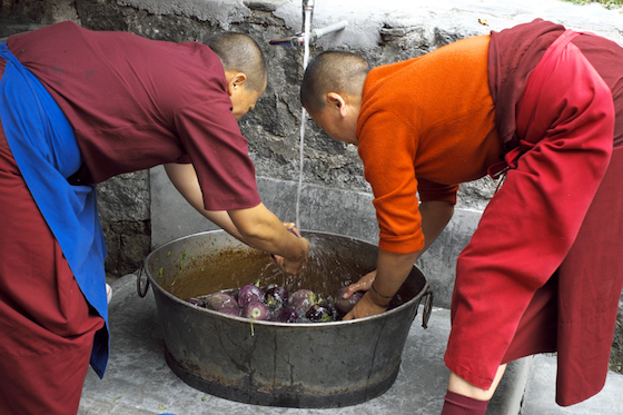 Tibetan Buddhist nuns, nunnery life, life during the monsoon