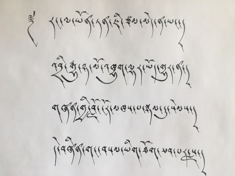 Tibetan calligraphy, Tibetan writing, calligraphy, Tibetan language, Tibetan culture, Tibetan Nuns Project, Shugsep Nunnery, drutsa script