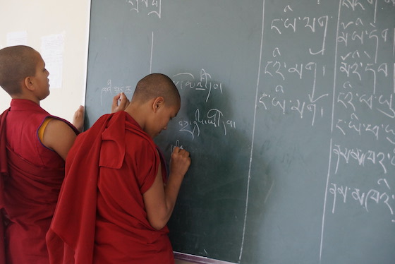 Tibetan class at Tilokpur Nunnery Photo by Brian Harris