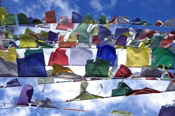 Tibetan prayer flags in the breeze