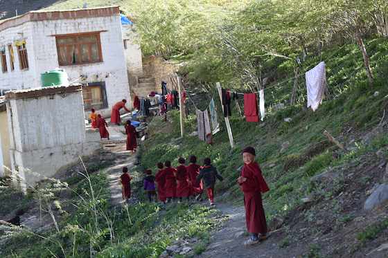 Young nuns at Dorjee Zong Nunnery