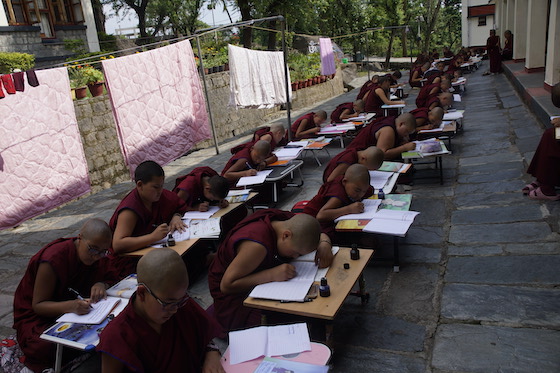 education of Tibetan Buddhist nuns