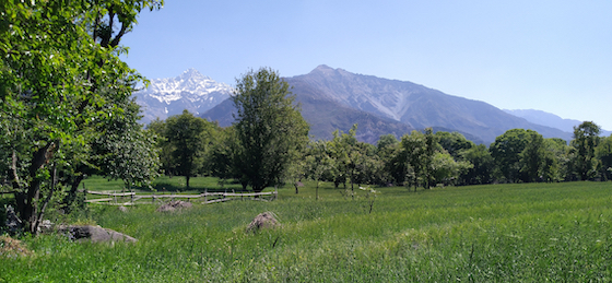 fields and Dhauladhar range above Dolma Ling Nunnery