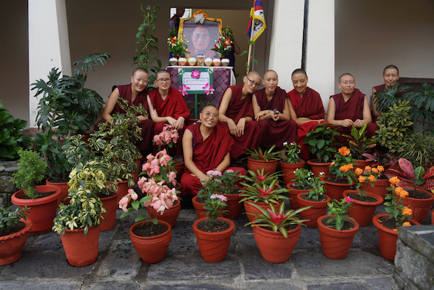 flower competition, Tibetan nunnery, Buddhist nuns, Dolma Ling Nunnery, flowers of Dolma Ling