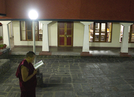 nun studying at night Brian Harris