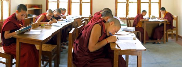 Tibetan Buddhist nuns studying, Tibetan Nuns Project