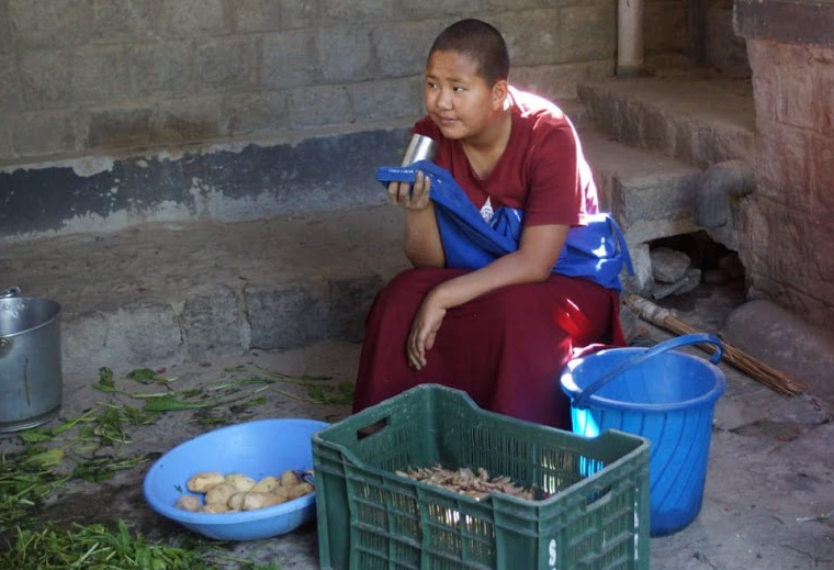 cost of food, Tibetan Buddhist nun at Dolma Ling peeling potatoes, cost of basic food items, peeling potatoes