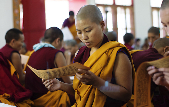 words of the Buddha, Kangyur, Tenzin Sangmo
