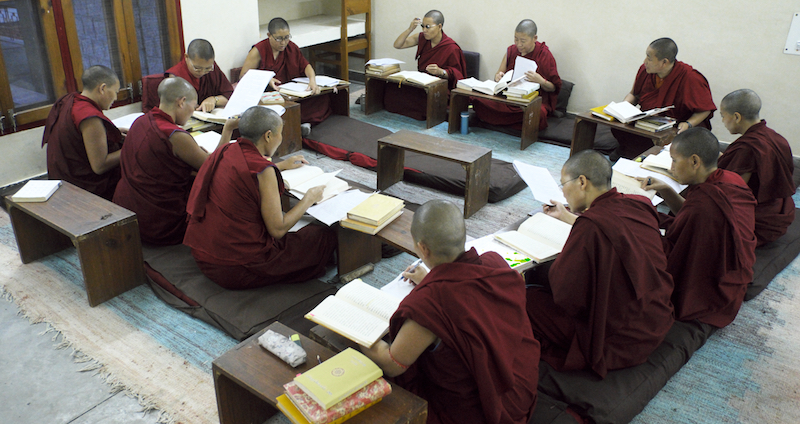 Tibetan Nuns, Tibetan Nuns Project, Tibetan education, Tibetan culture, what Tibetan Buddhist nuns learn