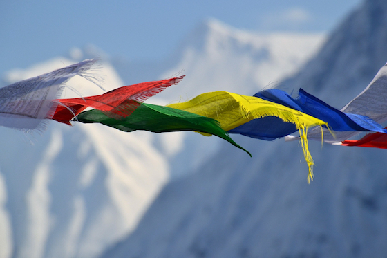 tibetan prayer flags, Tibetan Nuns Project, Tibetan nun's story, Tibet, Tibetan, prayer flags, snow mountains