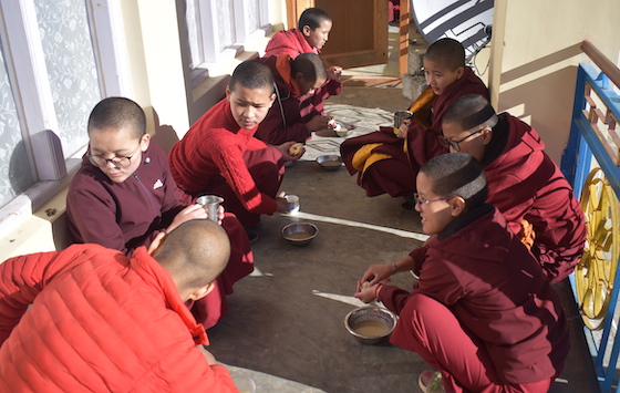 update from Sherab Choeling Nunnery