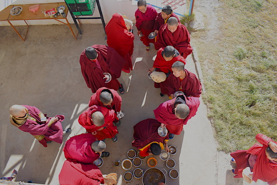 update from Sherab Coeling Nunnery