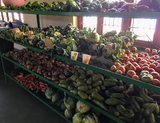 vegetable storeroom at Dolma Ling Nunnery and Institute