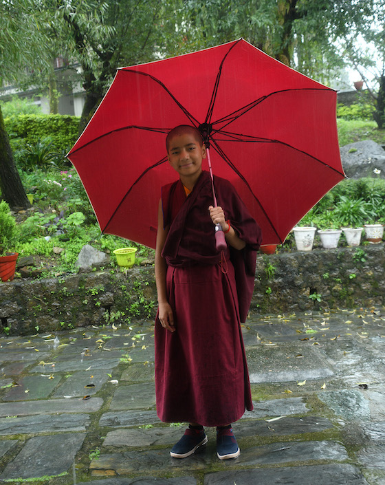 Young Tibetan Buddhist nun with umbrella during monsoon